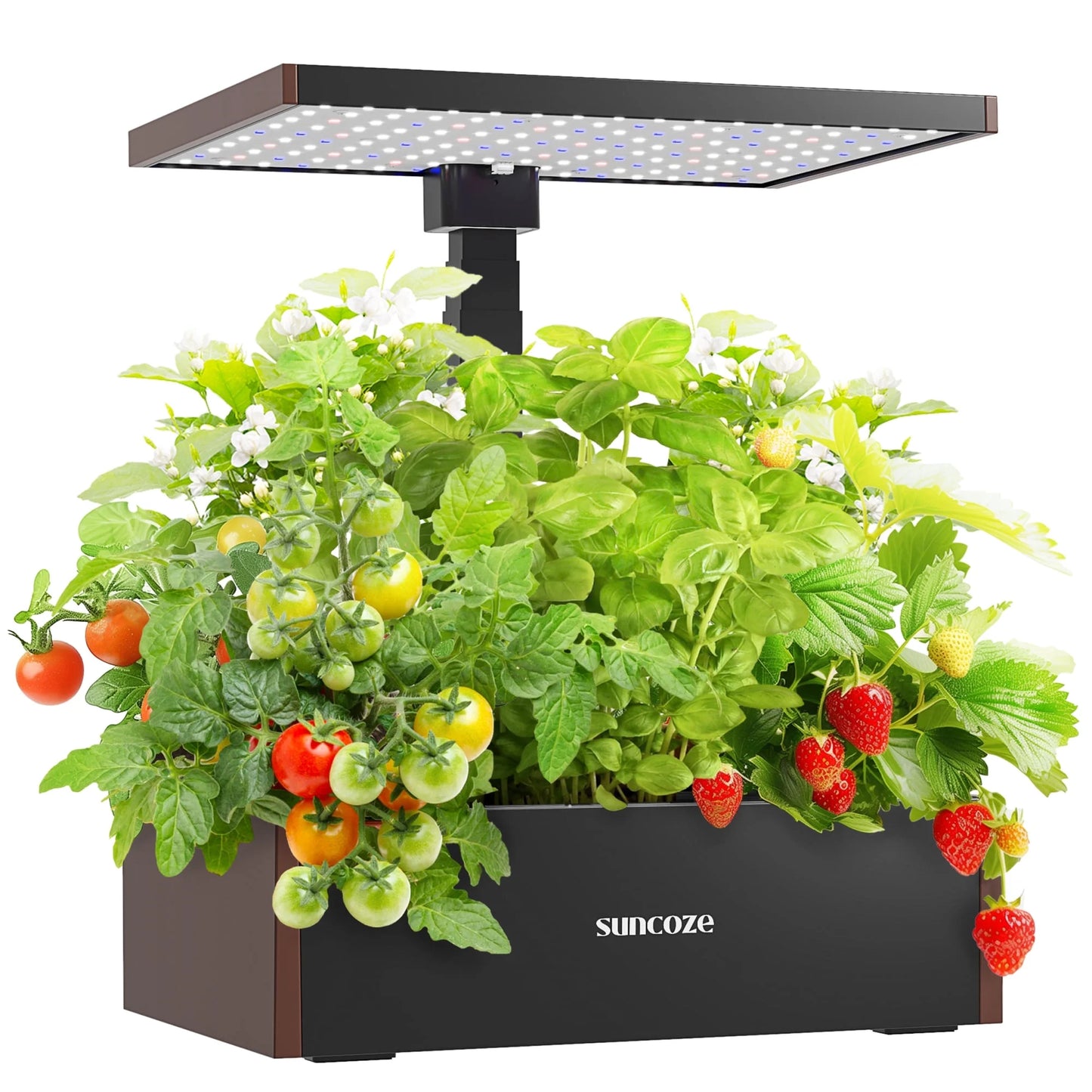 20 Pods Hydroponic Growing System Indoor Herb Garden with Grow Light Germination Starter Kit Black