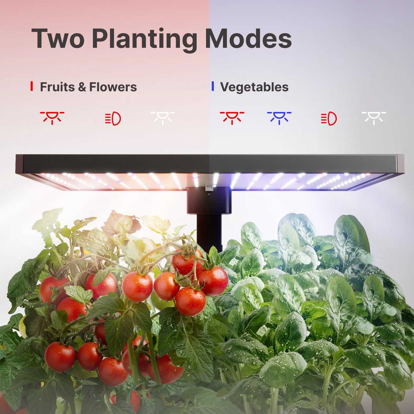 20 Pods Hydroponic Growing System Indoor Herb Garden with Grow Light Germination Starter Kit Black
