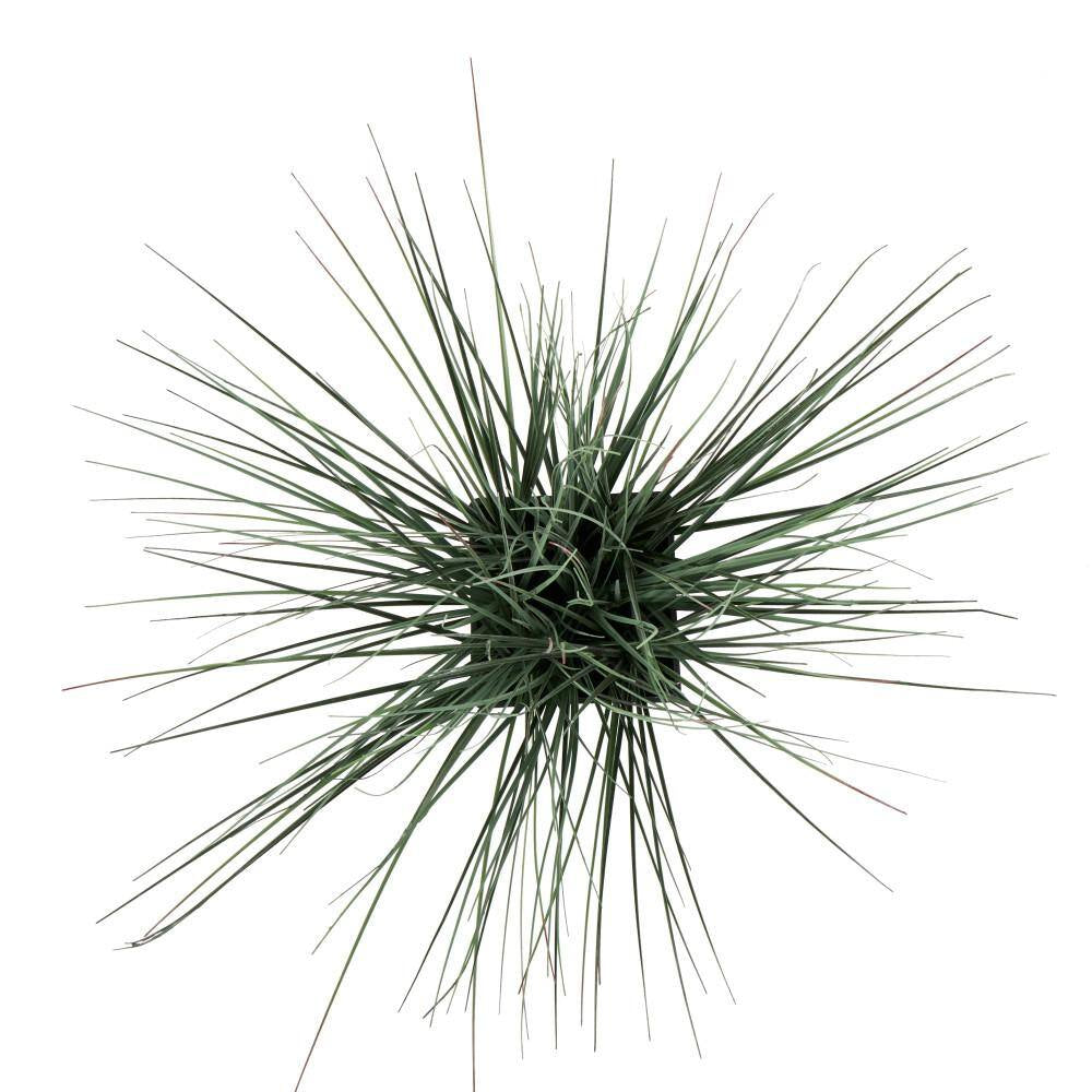 19 In. H Onion Grass Artificial Plant with Black Plastic Pot