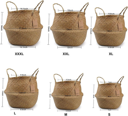 Seagrass Plant Basket with Handles, round Storage Wicker Basket (10.6Inch Diameter X 12.5Inch Height, Natural)