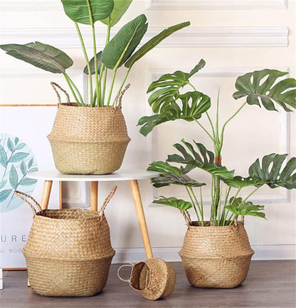 Seagrass Plant Basket with Handles, round Storage Wicker Basket (10.6Inch Diameter X 12.5Inch Height, Natural)